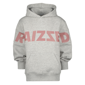 Raizzed hoodie Newark light grey melee